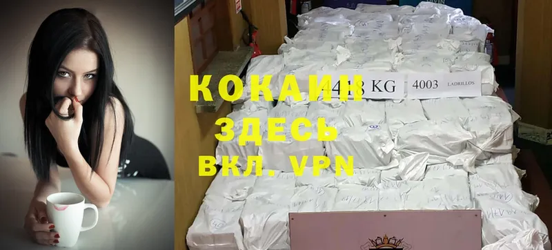 darknet формула  Гаджиево  КОКАИН Эквадор 